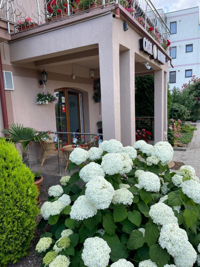 Ametist Casa Leului Hotel Năvodari Eksteriør billede